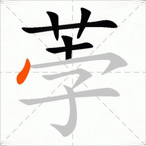 荸