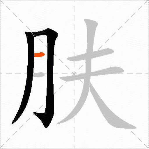 肤
