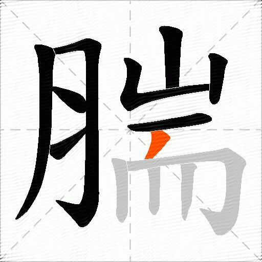 腨