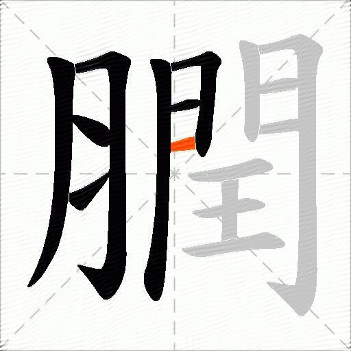 膶