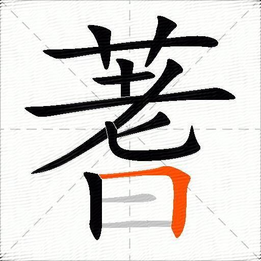 蓍