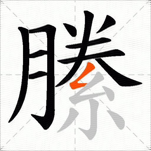 縢