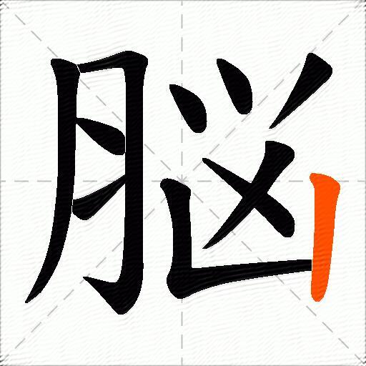 脳
