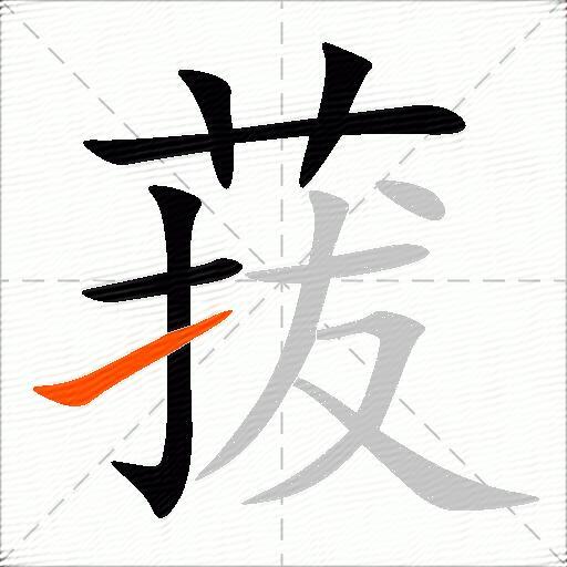菝