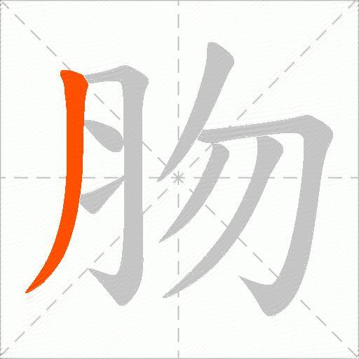 肳