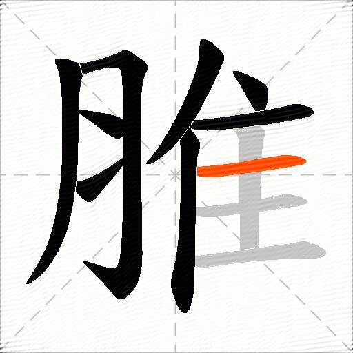 脽