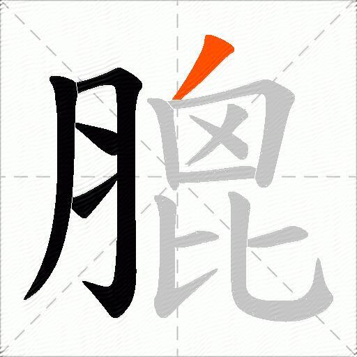 膍