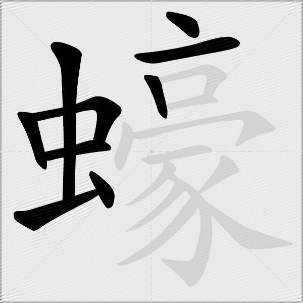 蠔