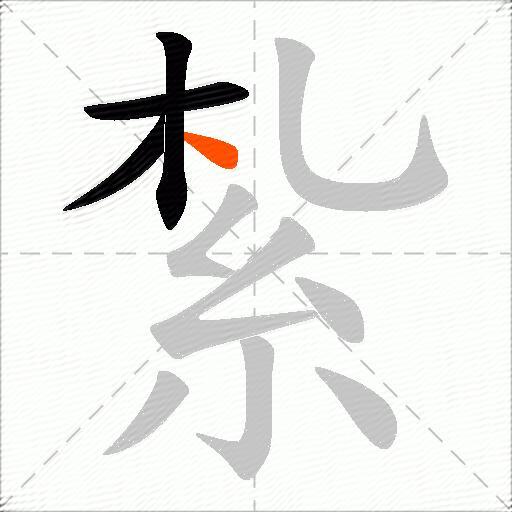 紮