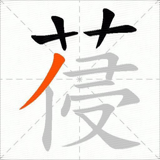 葠