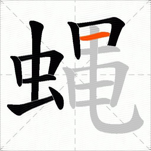 蝿