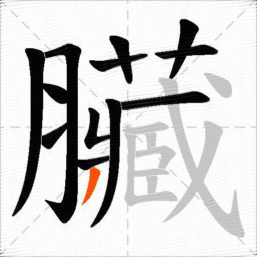 臟