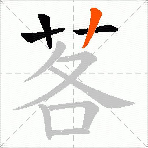 茖