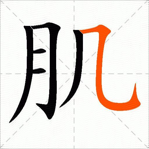 肌
