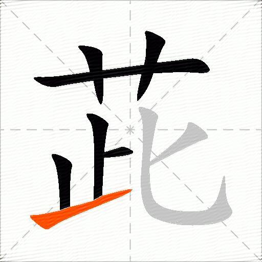 茈
