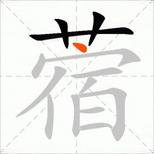 蓿
