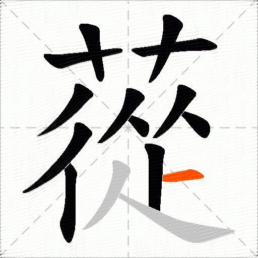 蓯