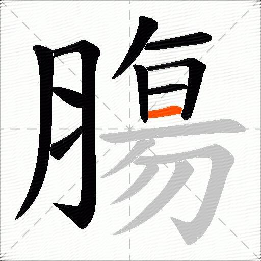 膓