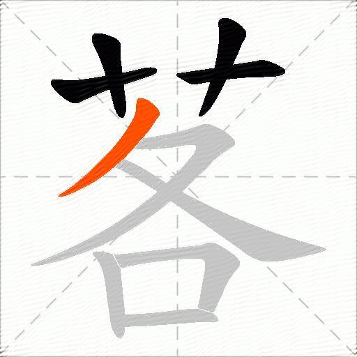 茖