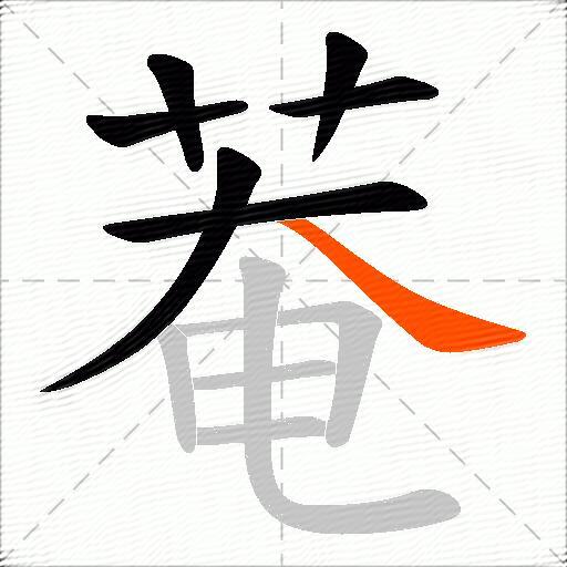 菴