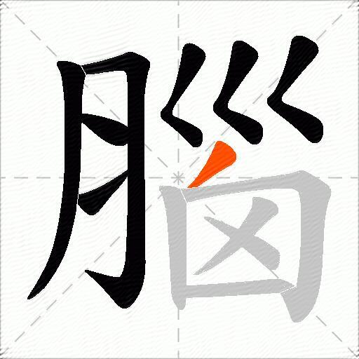 腦