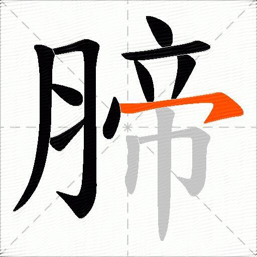 腣
