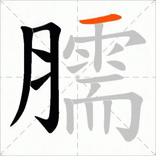 臑