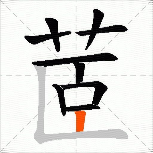 茝