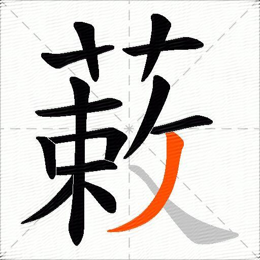 蓛
