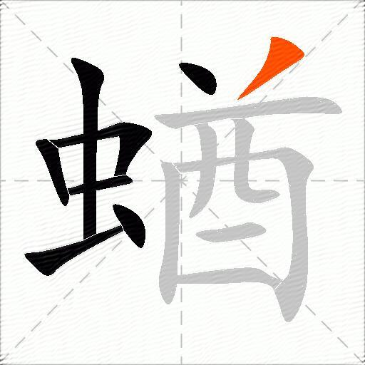 蝤