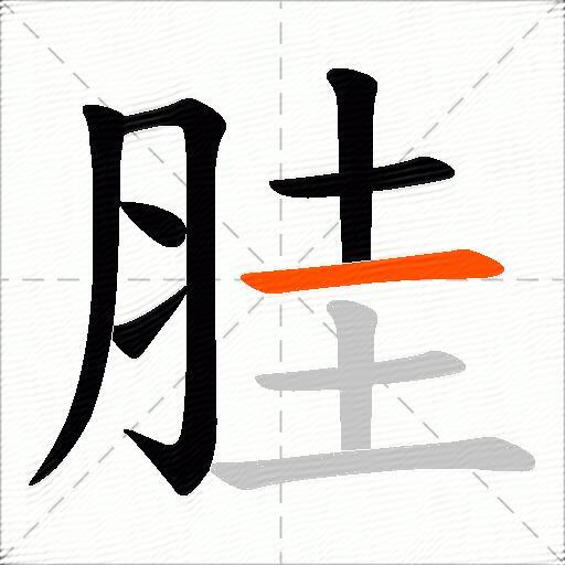 胿