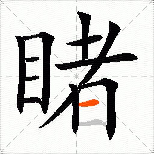 睹