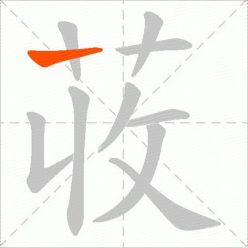 荍