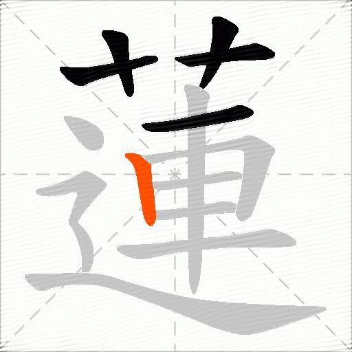 蓮