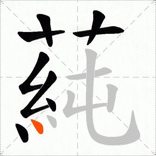 蒓