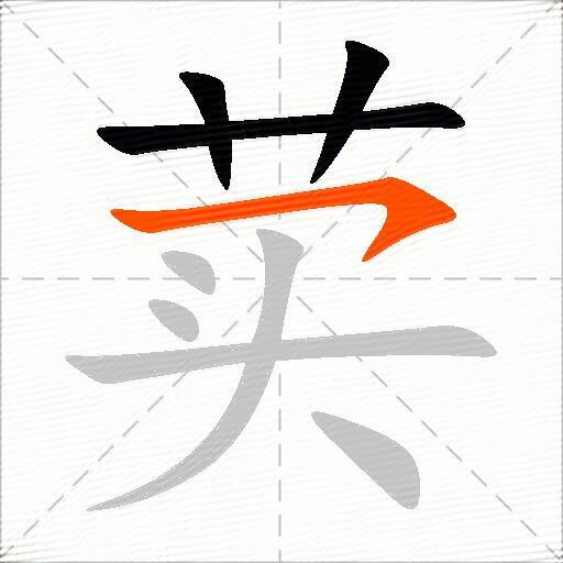 荬
