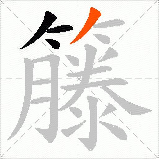 籐