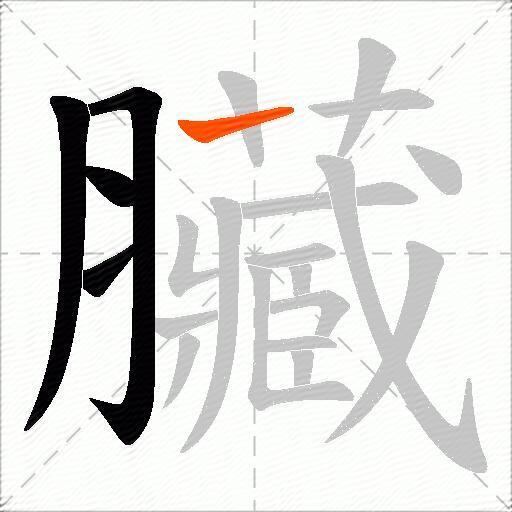 臟