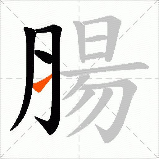 腸