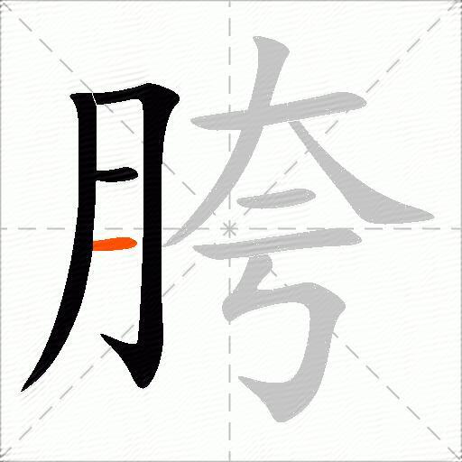 胯