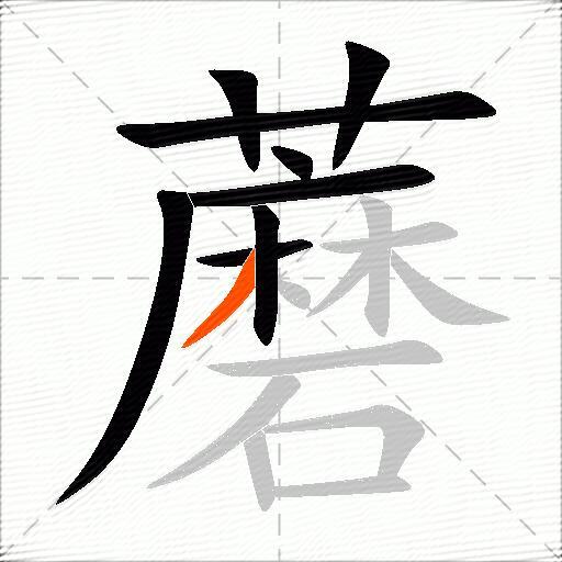 蘑