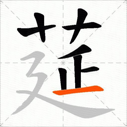 莚