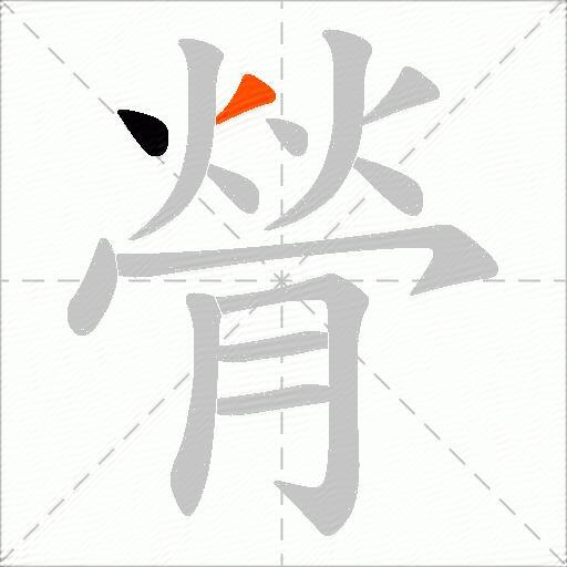 膋