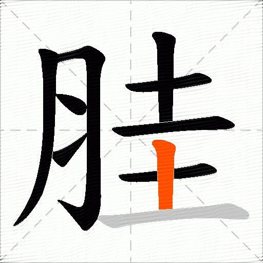 胿