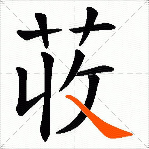 荍