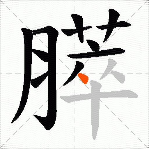 膵