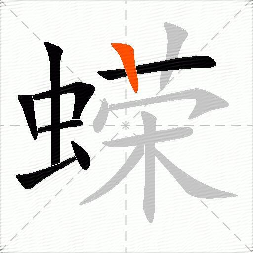 蝾