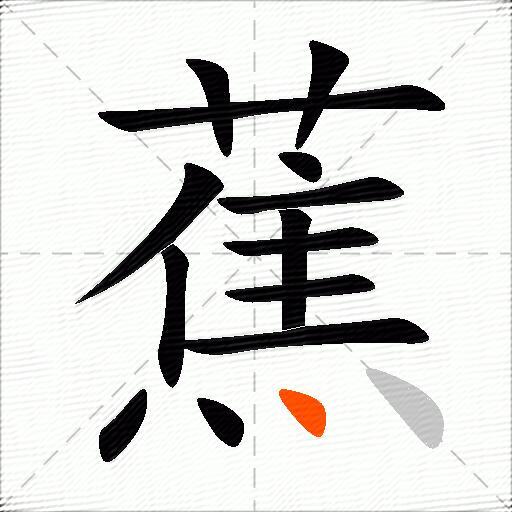蕉
