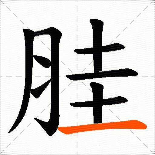 胿