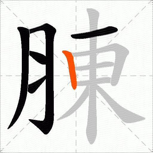 腖
